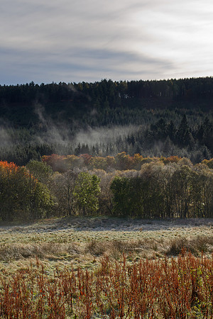 Early morning mist