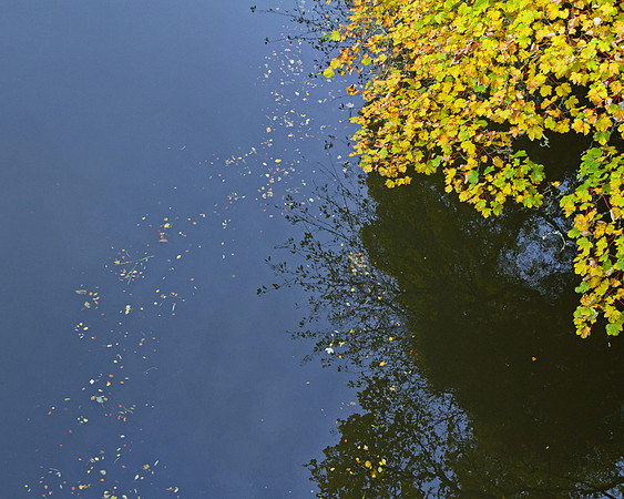 Autumn on the Don