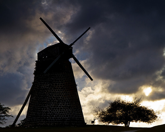 Abandoned sugar plantation windmill