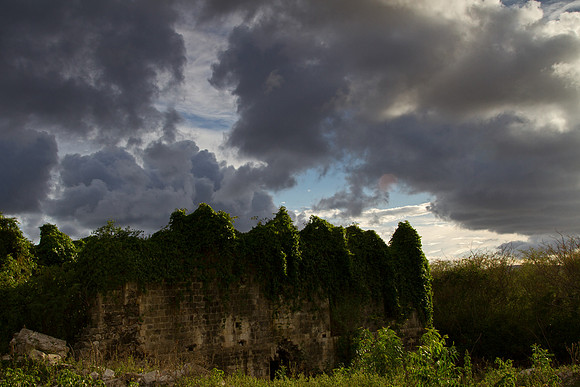 Abandoned sugar plantation