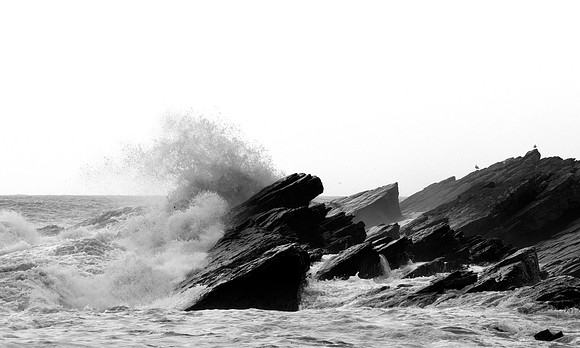 Collieston harbour rocks