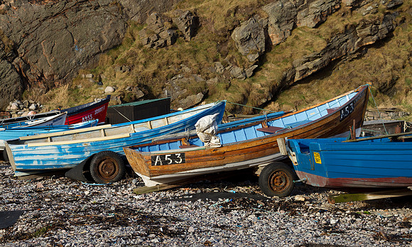 Cove bay fishing boats