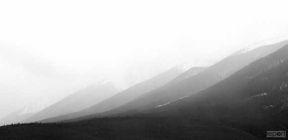 IMG_2498