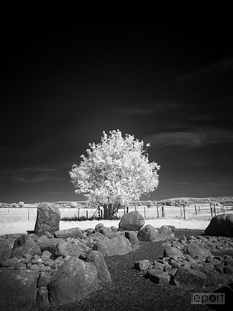 850nm filter at Cullerie stone circle