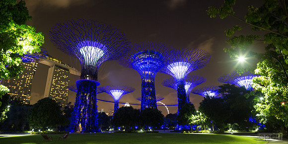 Singapore super trees