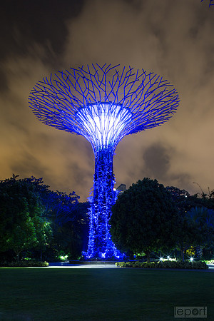 Singapore super trees