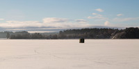 Geese on the frozen Loch of Skene