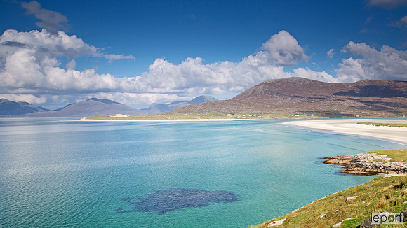 Harris