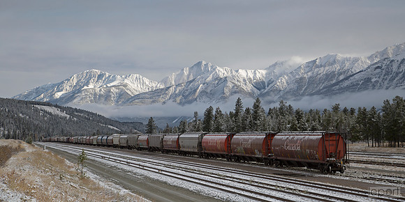 Train in the Canadian rockies near Banff