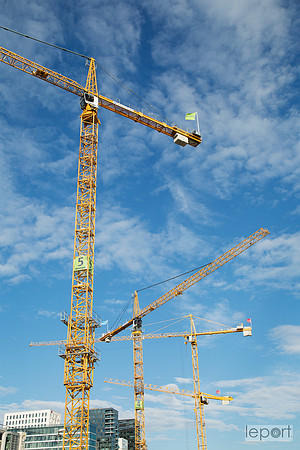 Oslo cranes